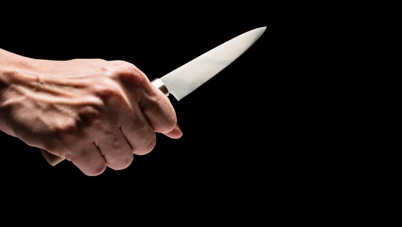 மலேசியா மாணவி கொலை: மாணவர் கத்தியை இணையத்தில் வாங்கினார் 