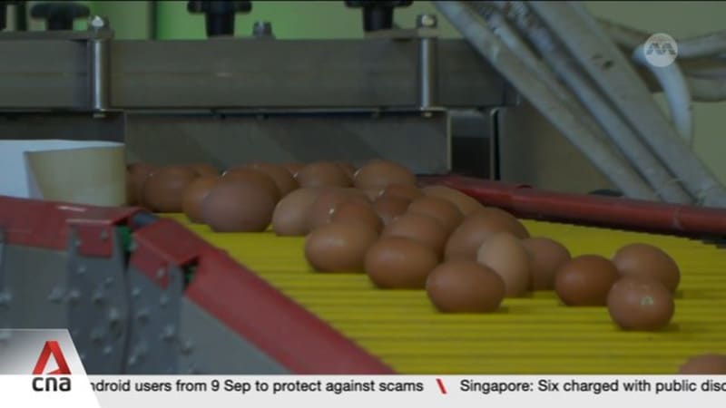 Supporting local farms: Stockpiling fertiliser, granting tax relief among ideas raised by MPs