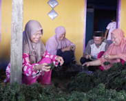 Indonesia’s green gold: Coastal farmers reap benefits of booming seaweed industry