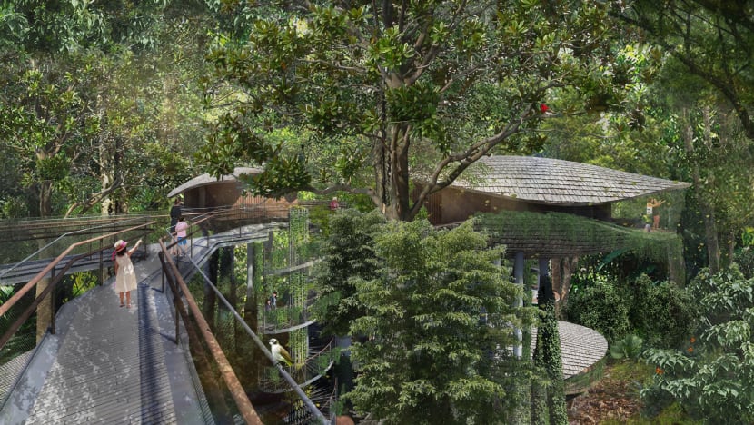 New Mandai resort will offer ‘unprecedented access to nature’, treehouses for guests