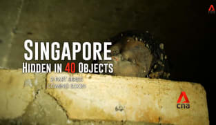 What's Coming Up - Singapore Hidden In 40 Objects