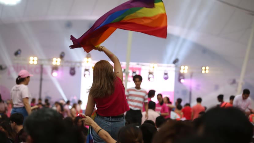 Covid-19: Singapore's Pink Dot rally to be replaced by livestream programme