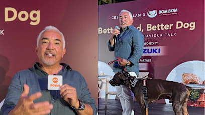 Cesar Millan Responds To S'pore Petition To Drop Him From Pet Festival: "People Don't Understand What I'm Doing"