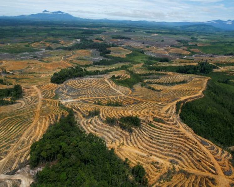 Indonesia will issue investment instruments for export earnings of natural resources