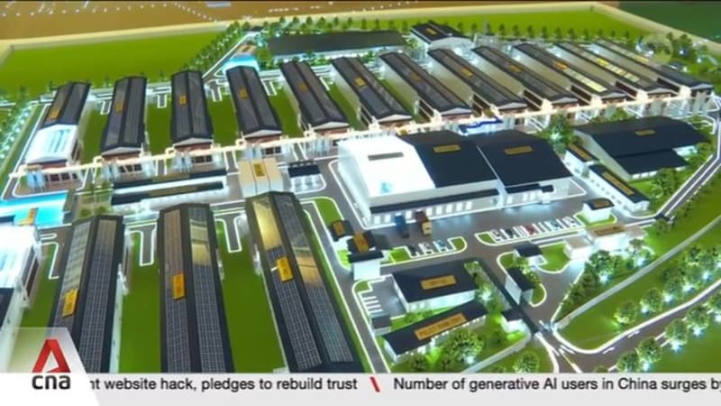 Singapore's long-delayed fourth egg farm to start production in 2028