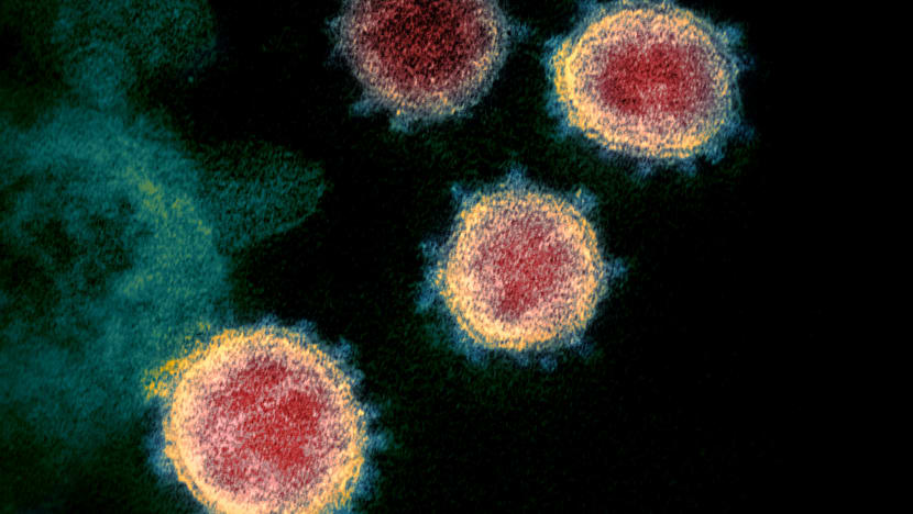 25 Covid-19 cases with B117 variant found in Singapore: MOH