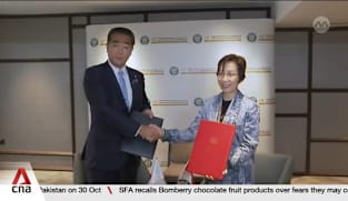 Singapore leading long-term regional plan on food security in ASEAN