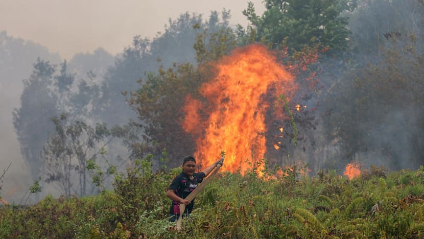 Singapore to issue haze prevention notices to three more firms in Indonesia over Kalimantan fires
