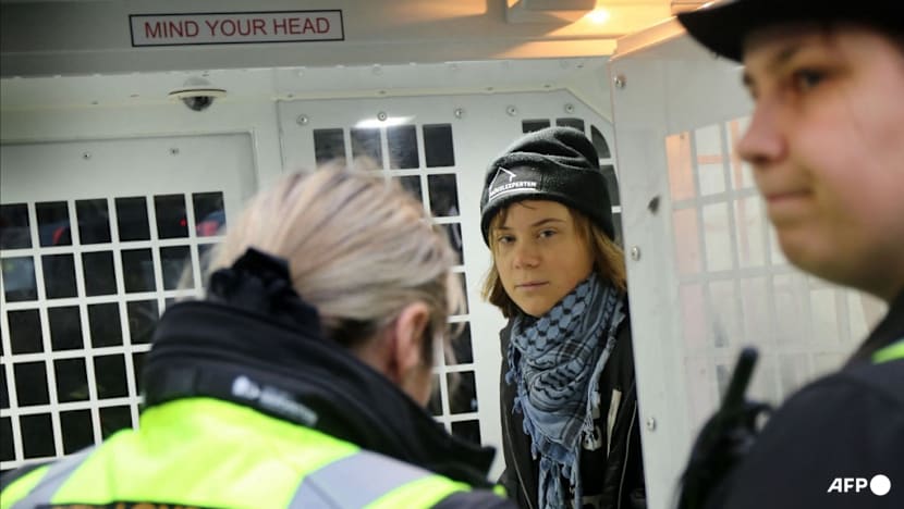 Greta Thunberg arrested at pro-Palestinian protest in London
