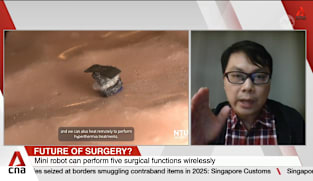 NTU scientists develop seed-sized surgical robot