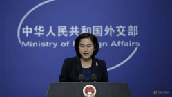 Related article image