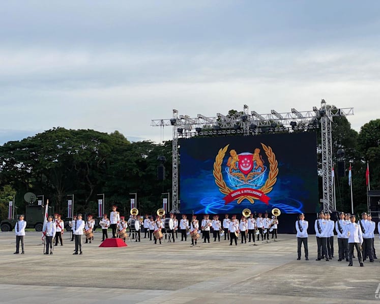 SAF formally establishes Digital and Intelligence Service