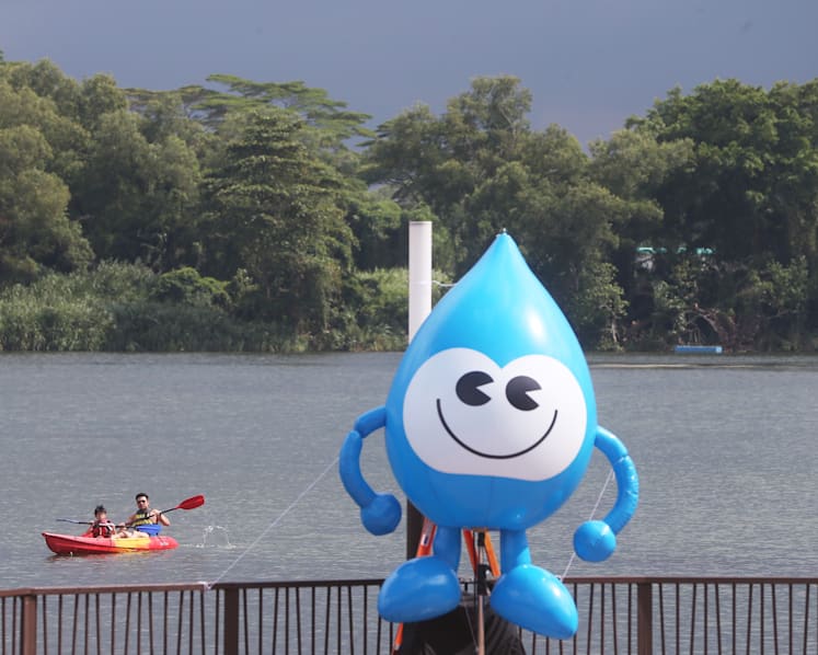 Water pricing based on household size, usage a better system: Expert