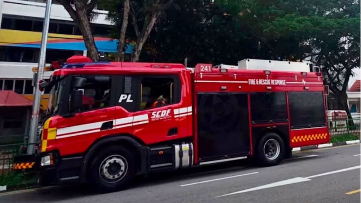 Kebakaran di flat HDB Circuit Road: Lelaki 70 tahun meninggal dunia, 80 ...