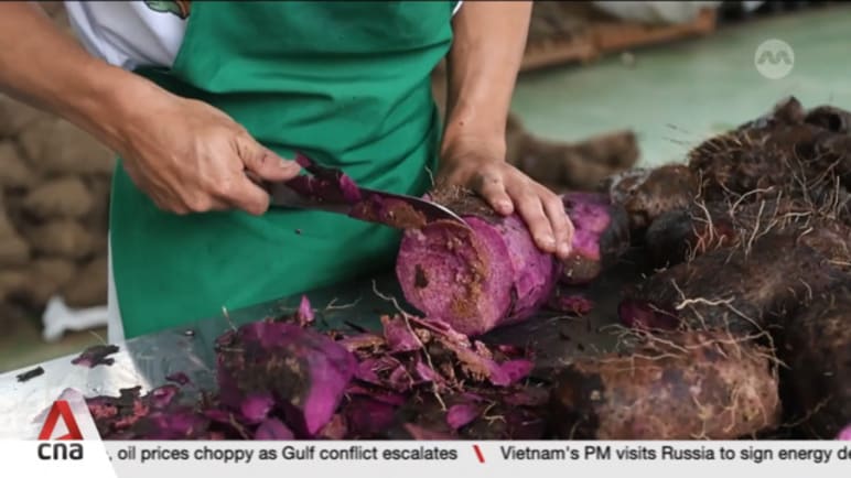 Philippine root crop ube faces growing challenges despite global popularity