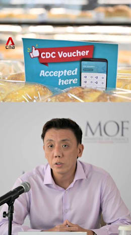 Singaporean households to get S$300 CDC vouchers, U-Save rebates