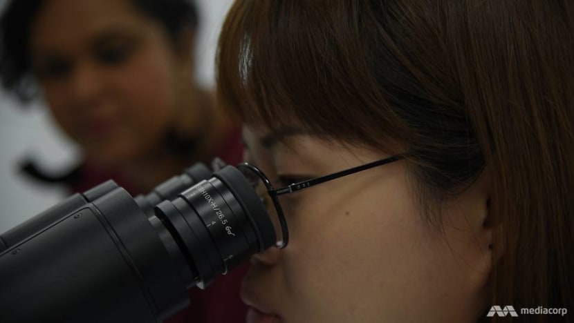 'It's a different world under the microscope': HSA's crack team can tell authentic documents from the fake 'It's a different world under the microscope': HSA's crack team can tell authentic documents from the fake