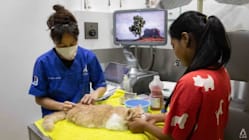 Related article image