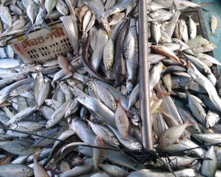 As movement curbs persist, Malaysian fishermen and farmers grapple with lower demand and logistics issues