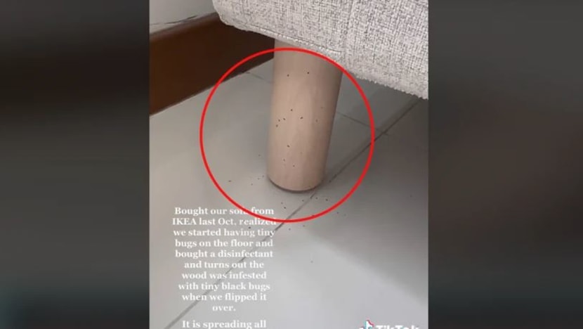 Ikea SG siasat kes 'serangan' serangga di sofa; kes kedua dalam dua bulan 
