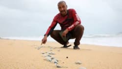 Related article image