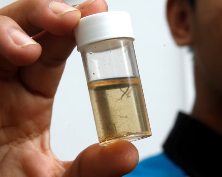Commentary: Uncovering the factors fueling record-high dengue cases in Singapore
