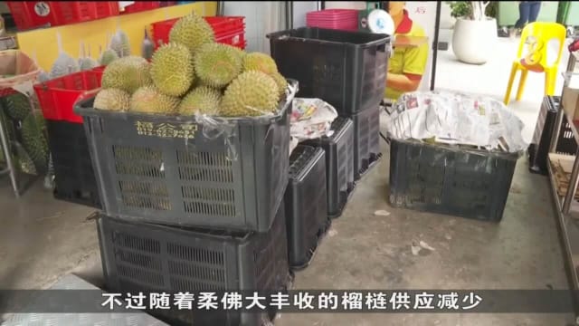 榴梿价格回升 摊贩：父亲节将需求推高15%