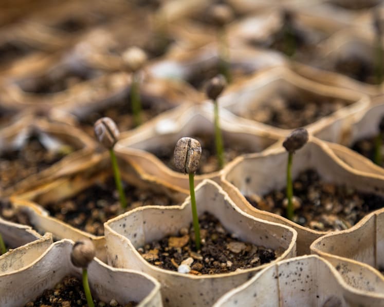 Invest in firms with good environmental and social practices for better returns