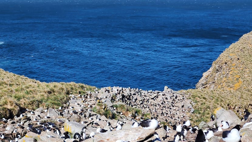 Related article image