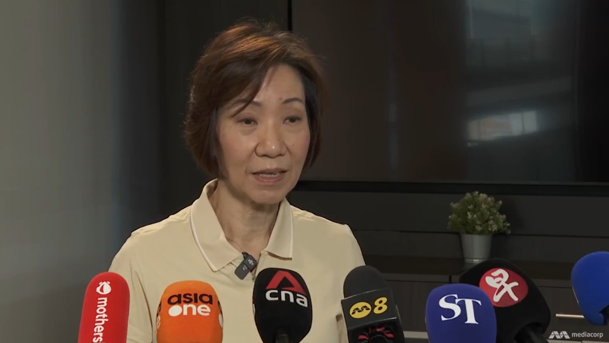 Singapore ‘stands ready’ to assist Indonesia on forest fires amid haze: Grace Fu