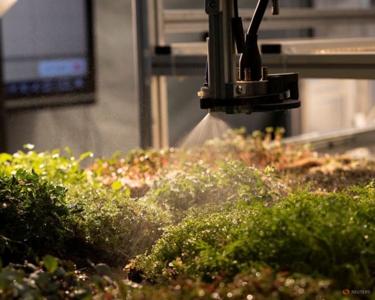 Italy crafts lab-grown snacks with fruit residues, plant cells and a 3D printer