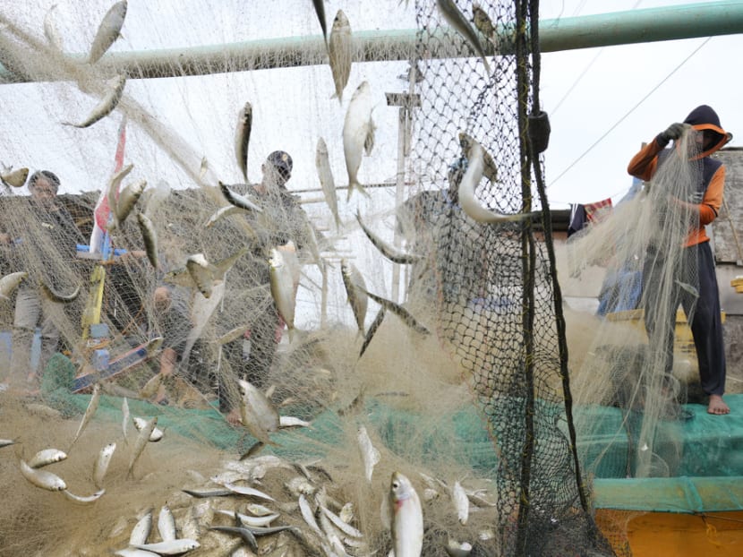 Commentary: El Nino is coming and that can spell disaster for the world's fishing industry