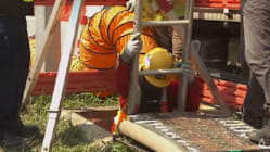 Related article image