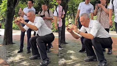 SM Lee Hsien Loong Earns Praise Again For “Perfect” Asian Squat While Taking Photos; Netizens Impressed By His Fitness Levels And “Solid Core, Hip Flexors & Quads”
