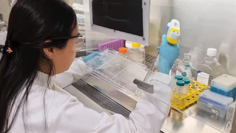 More Singapore firms expanding, setting up shop in the US after COVID-19 pandemic More Singapore firms expanding, setting up shop in the US after COVID-19 pandemic