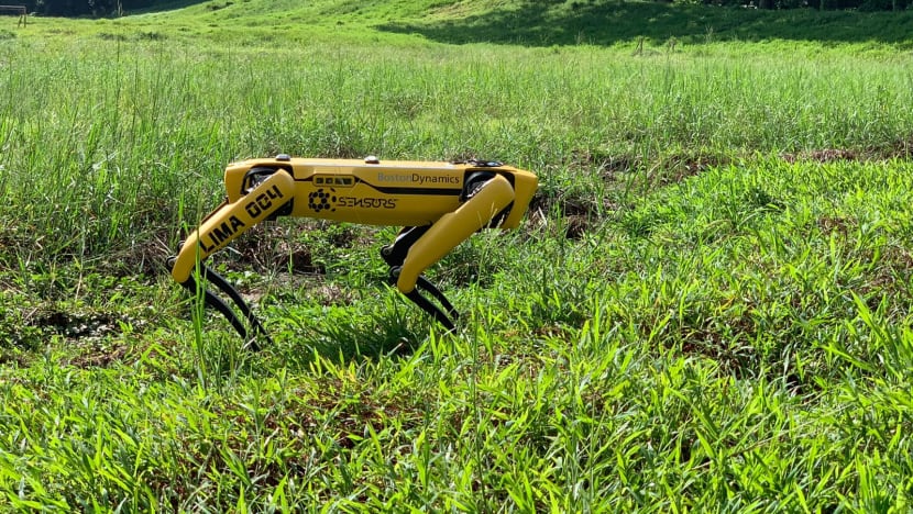 Four-legged robot goes on trial at Bishan-Ang Mo Kio Park to promote safe distancing