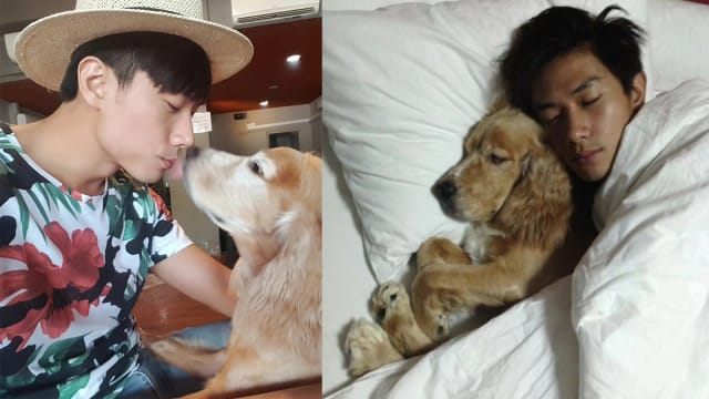 爱犬Hoshi逝世　陈泂江：感恩能与你共度15年