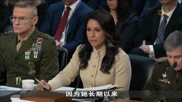 美情报总监加巴德辞职称陪癌夫