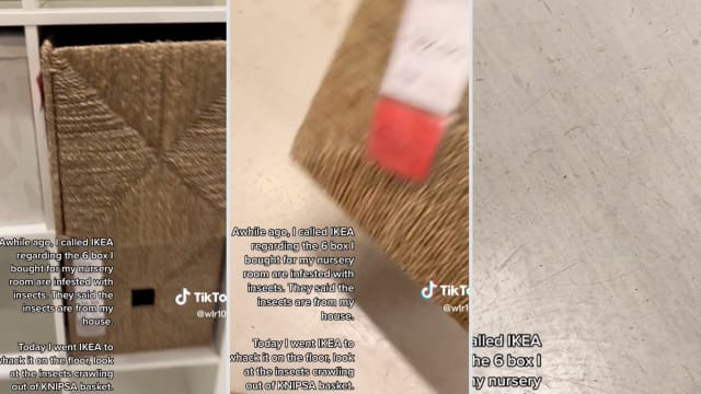 网民拍片力证储物篮“生虫” 宜家：已从门店和网店撤下
