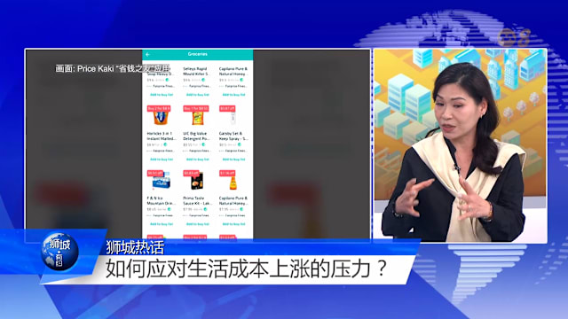 狮城有约  | 物价只升不降 省钱达人传授花钱心法