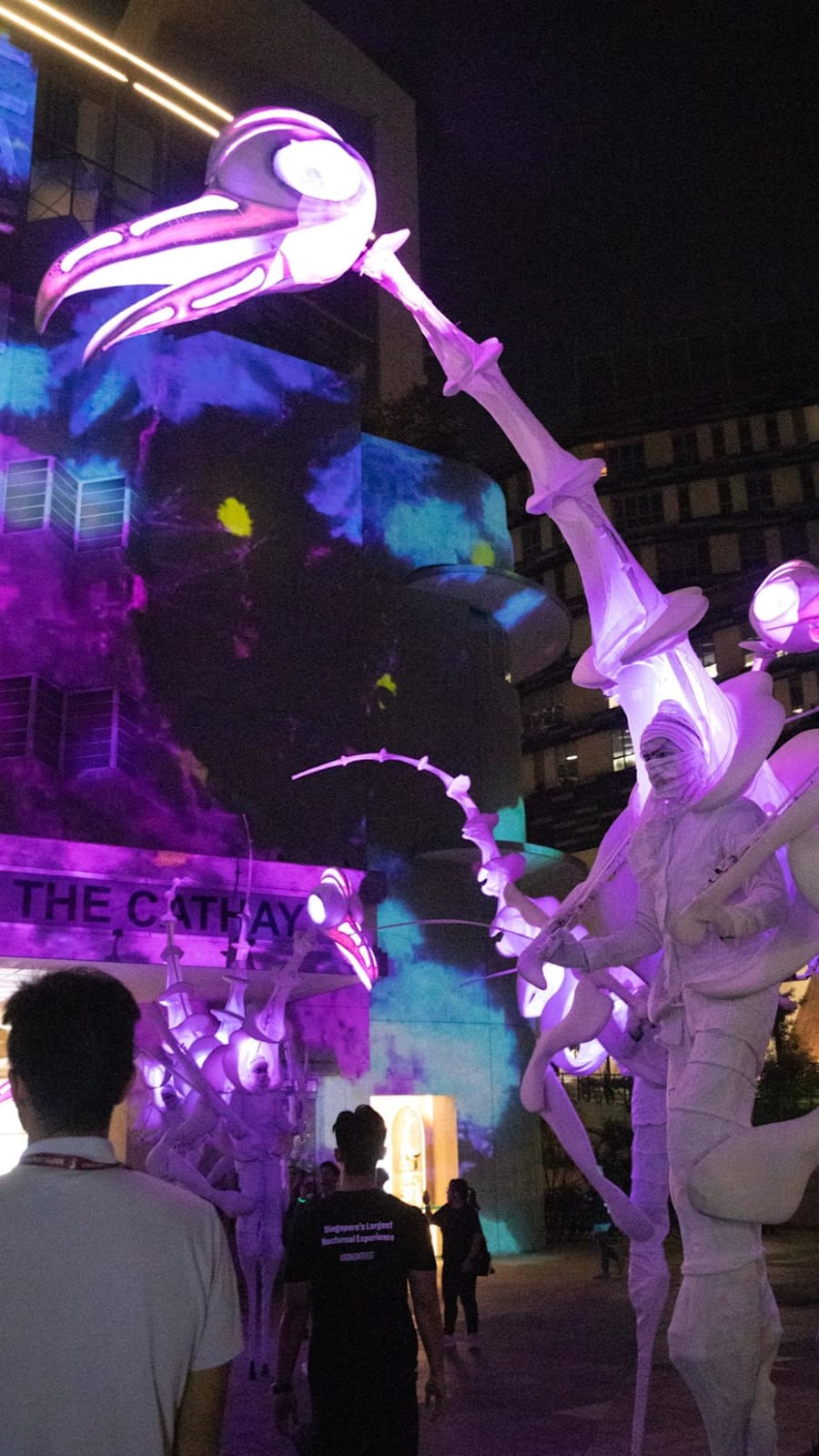 First look at Singapore Night Festival 2026