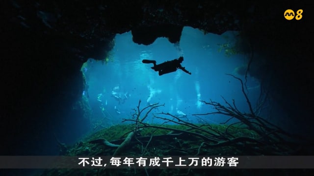 狮城有约 | 国际专题：保护地球 刻不容缓