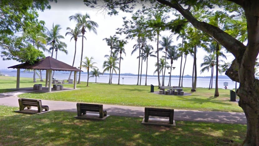 Police investigating after foetus found at Pasir Ris Park Police investigating after foetus found at Pasir Ris Park