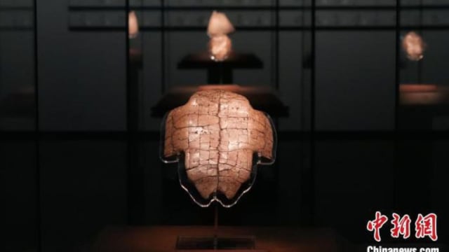 来自3000年前的请假单  王子生病也需请假