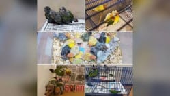 Related article image