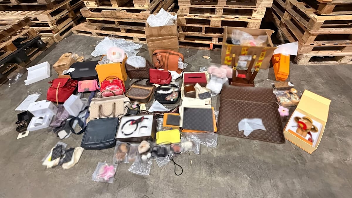 移民局侦破两起冒牌商品走私案 起获逾200件仿冒品 - 8world