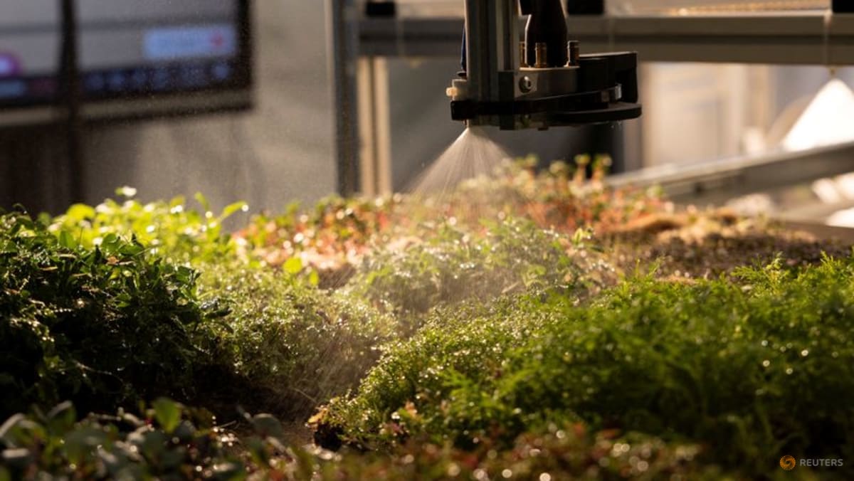 Italy crafts lab-grown snacks with fruit residues, plant cells and a 3D printer