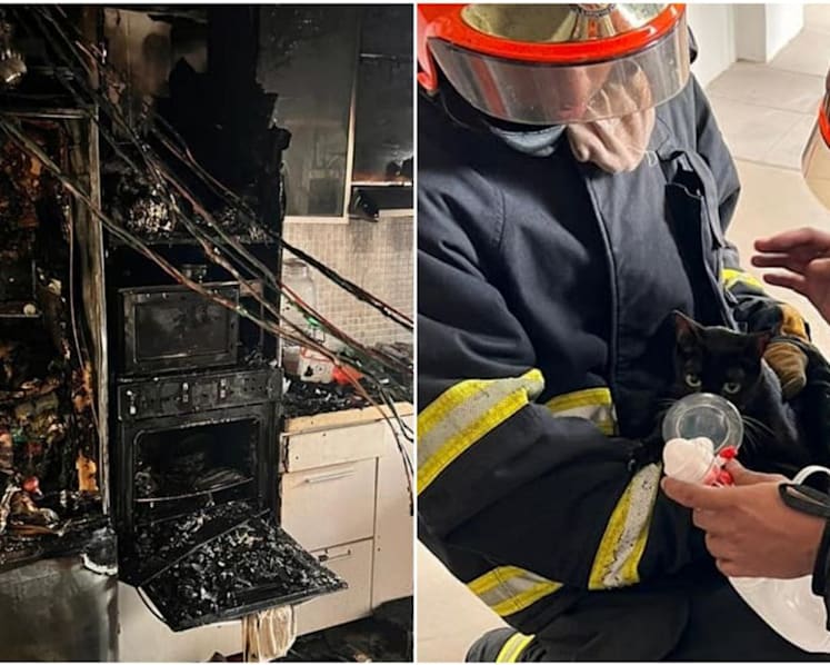 Infant taken to hospital, two cats rescued following fire at Jurong East flat