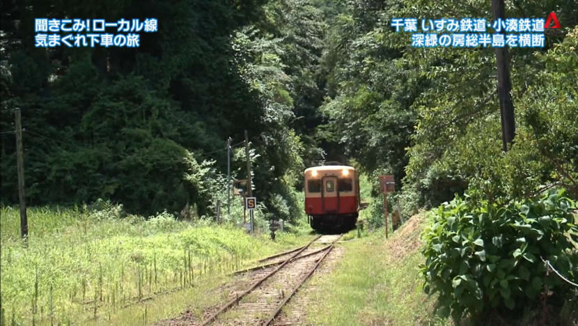 Road Trip On Isumi Railway And Kominato Railway - Part 2