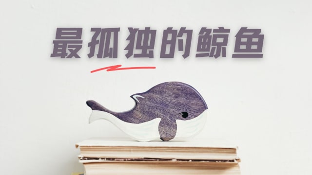 【城市呼吸｜彭菲菲】52赫兹——深海孤独鲸鱼的浪漫